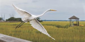 Home Insurance Quote Nearby | Home Insurance Near Me | Auto Insurance